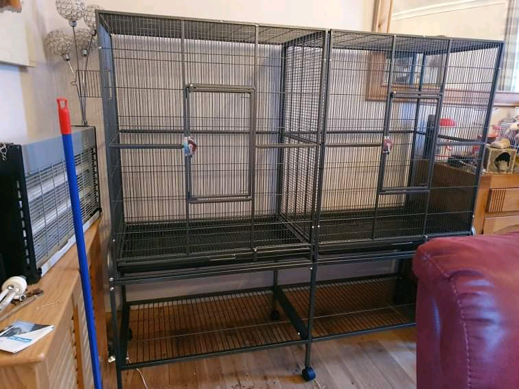 gumtree rat cage
